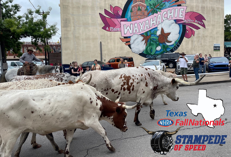 Opening weekend of Texas Motorplex Stampede of Speed a major success - Vimarsana News