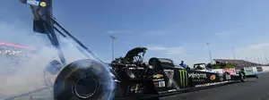 Brittany Force 