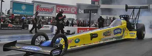 Brittany Force