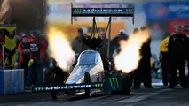 Brittany Force