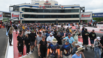 SealMaster Track Walk