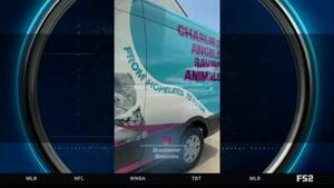 Ida Zetterström shines a light on rescuing over 10,000 animals