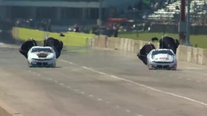 Dallas Glenn is the No. 1 qualifier in Pro Stock at the 2026 Texas NHRA FallNationals