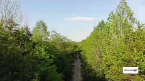 Dodge Tales from the strip—Shuffletown Dragway